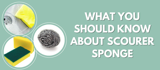 What You Should Know About Scourer Sponge