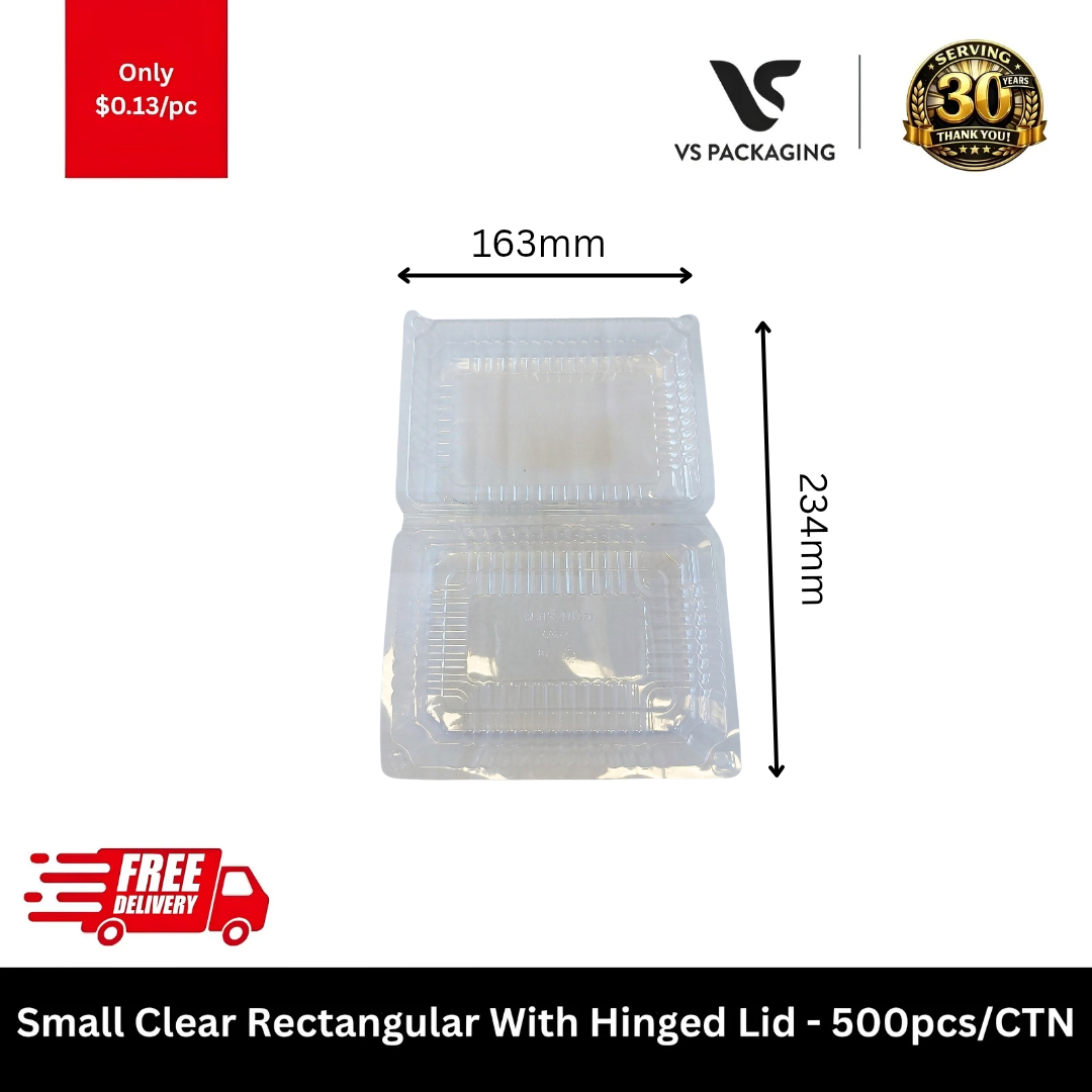 Small Clear Rectangular With Hinged Lid - 500pcs/CTN VS Packaging