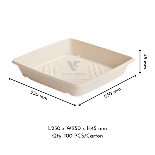 Bioway Small Sugarcane Catering Tray / Platter 250 × 250 × 45mm – Eco Packaging – VS Packaging