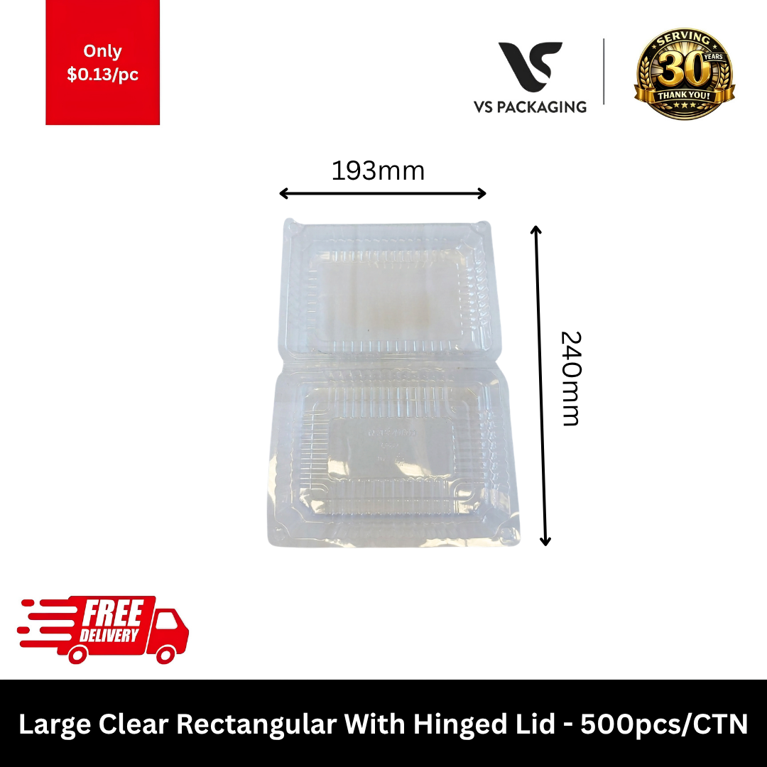 Large Clear Rectangular With Hinged Lid - 500pcs/CTN VS Packaging