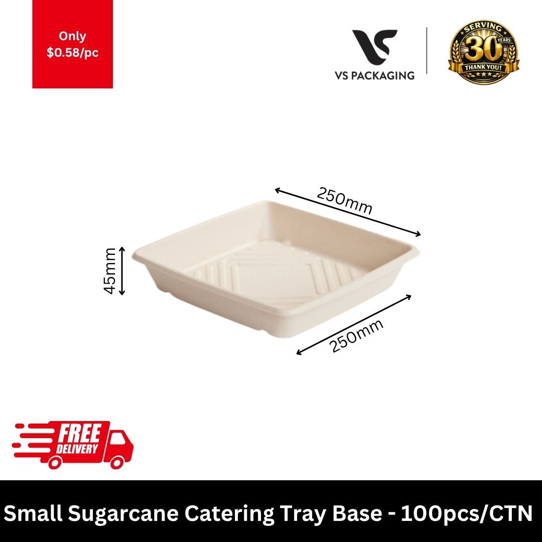Small square sugarcane catering tray eco-friendly bagasse platter for takeaway catering and food presentation 250x250mm
